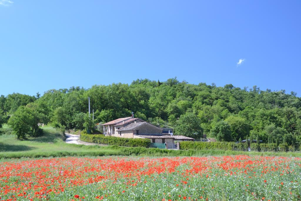 Casa Nestore Holiday Apartments Castiglione della Valle Екстериор снимка